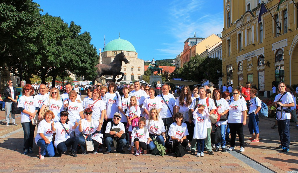 2014-09-24-Pécs-Fuss a rakgyogyitasert