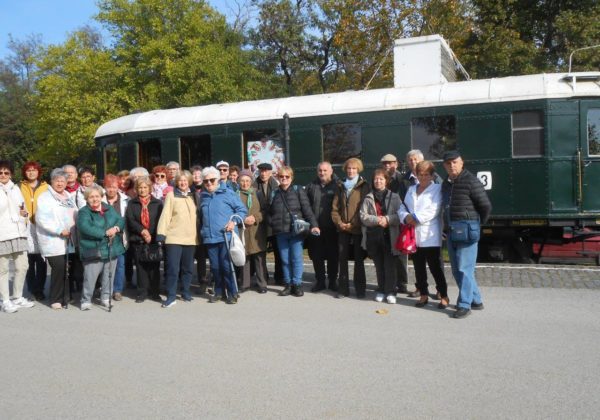 Szeniorok látogatása Szentendrén, a Szabadtéri Néprajzi Múzeumban